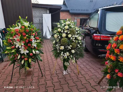 Kwiaciarnia Figlus Bełchatów – Kwiaty i Bukiety Grocholice